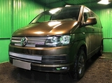 Allest Защита радиатора, хром, низ (2 части) VW T6 Multivan/Caravelle 15-