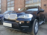 Allest Защита радиатора Premium, хром (3D) BMW (бмв) X5/X6 07-/08-