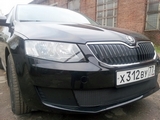 Allest Защита радиатора Premium, хром (Ambition-Elegance) SKODA (шкода) Octavia 13-