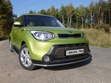 ТСС Решетка радиатора (овал) KIA (киа) Soul/Соул 13-