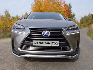 ТСС Защита передняя (кенгурин) 60, 3 мм LEXUS (лексус) NX300h 14- - Автоаксессуары и тюнинг