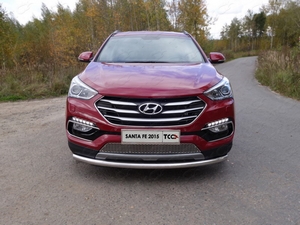 ТСС Защита передняя нижняя 60, 3 мм (4WD) HYUNDAI (хендай) Santa FE 15- - Автоаксессуары и тюнинг