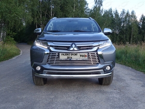 ТСС Защита передняя нижняя (овальная) 75х42 мм MITSUBISHI (митсубиси) Pajero/паджеро Sport 16- - Автоаксессуары и тюнинг